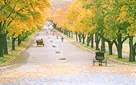 Mackinac Island